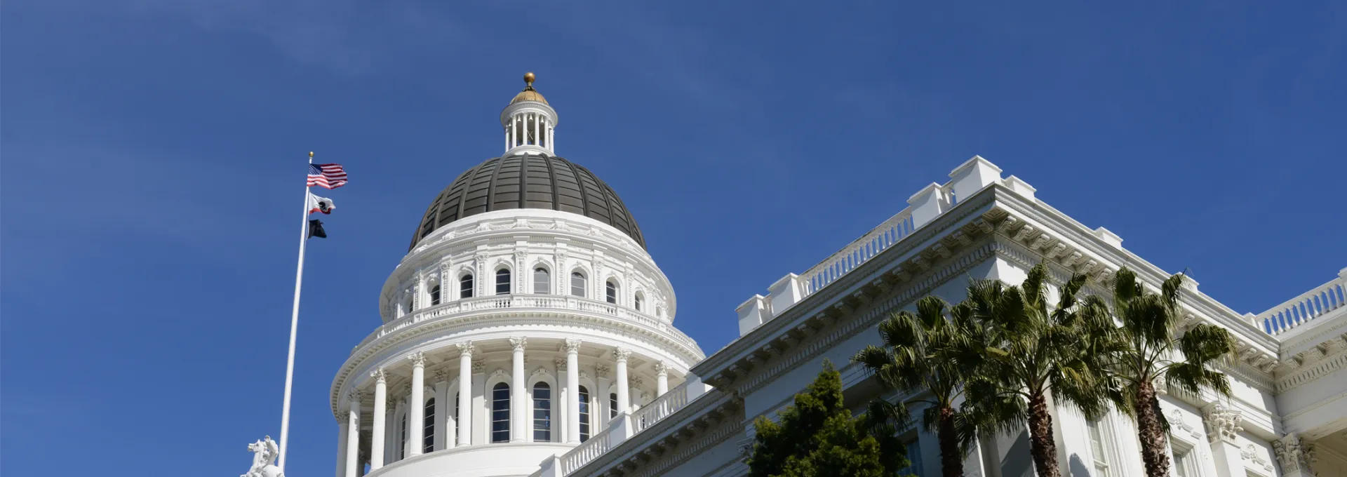 Legislative Committee