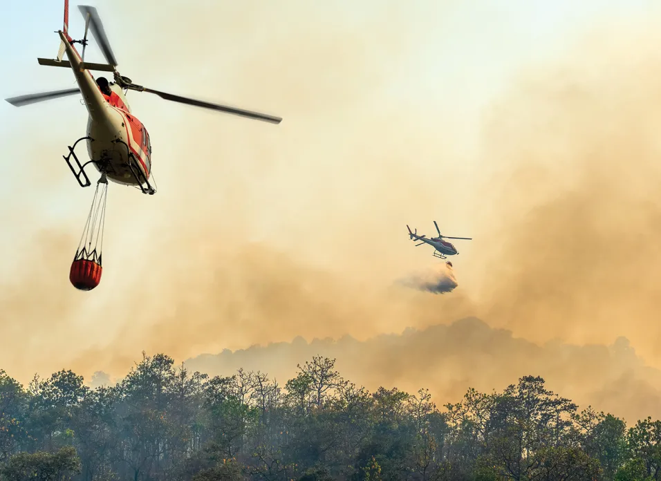 Wildfire Preparedness