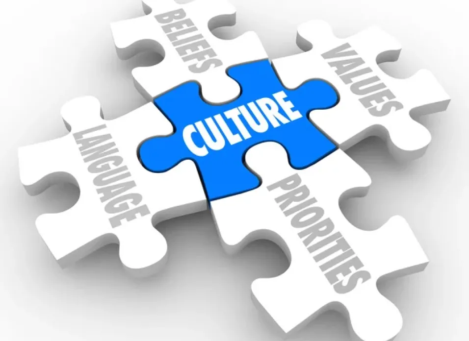 Leading Culture