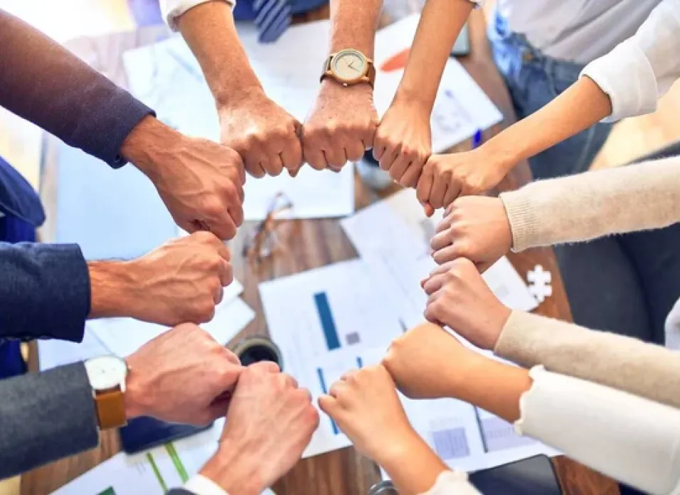 Building Excellence: The Power of Trust in Teams