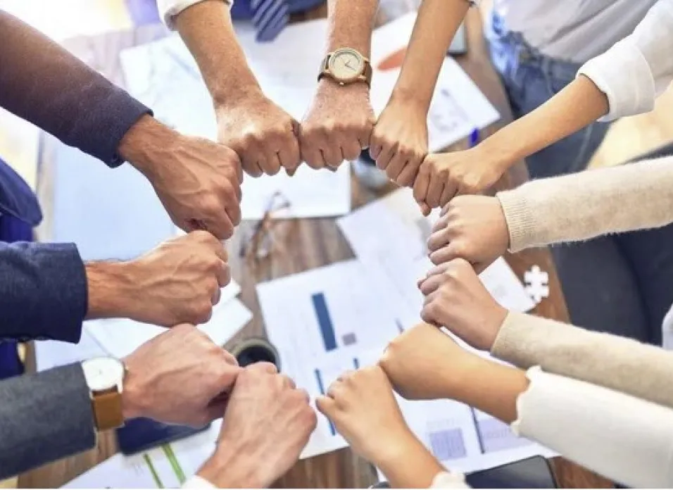 Four Pillars of Trust - Teamwork That Matters