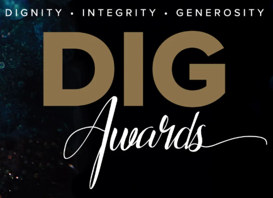 2026 37th Annual DIG Awards