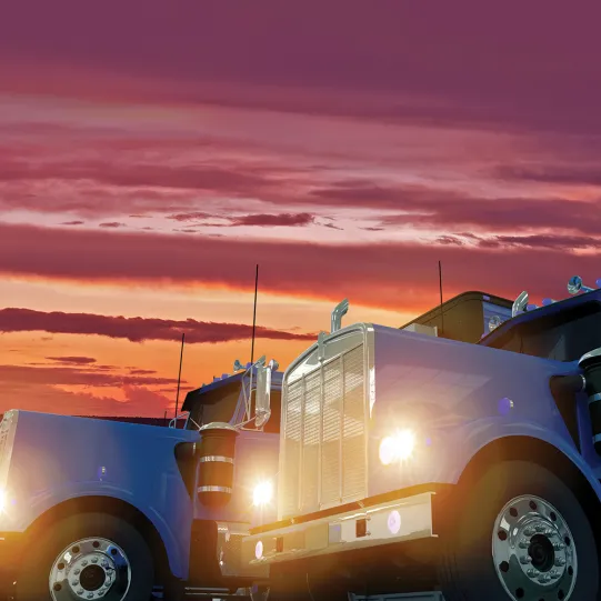 How to Survive a BIT Inspection