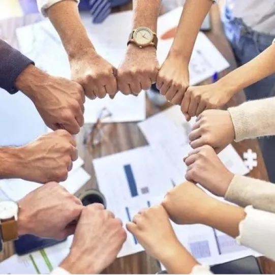 PillarsOfTrustInTeams