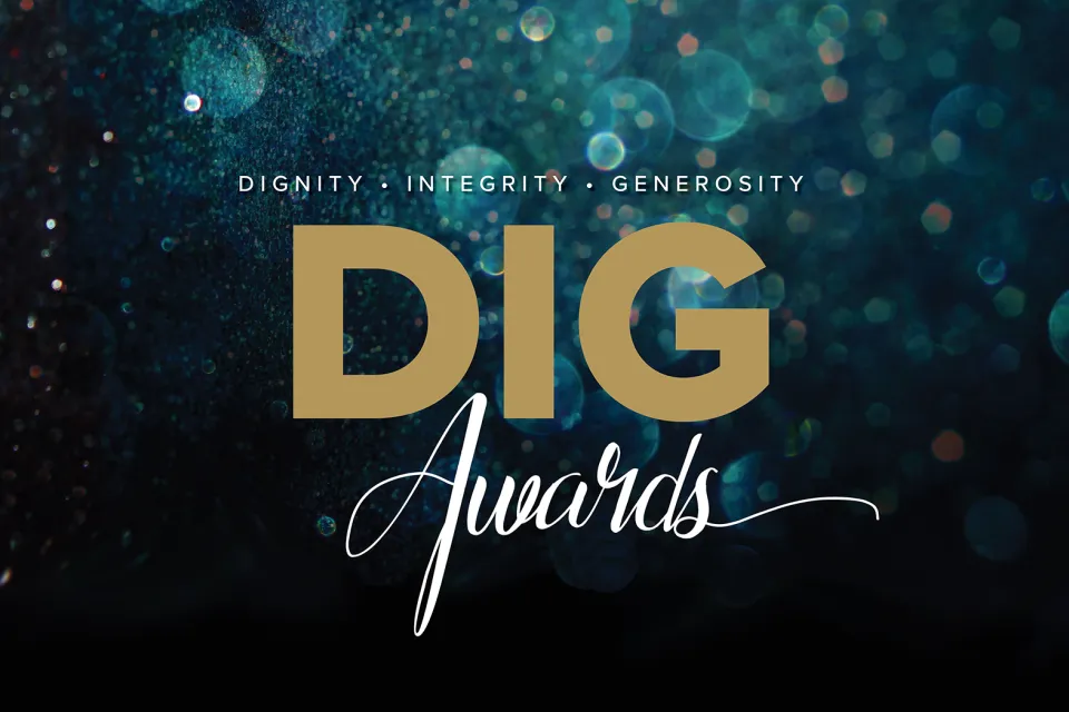 DIG Awards 26